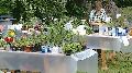 blommor